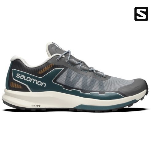 Salomon Ultra Raid Men's Sneakers Grey | CA 37S8